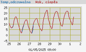 Temperatura odczuwalna i wskaźnik ciepła