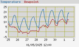 Temperature and Dewpoint